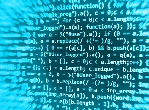 Software development